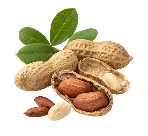 Raw Peanuts